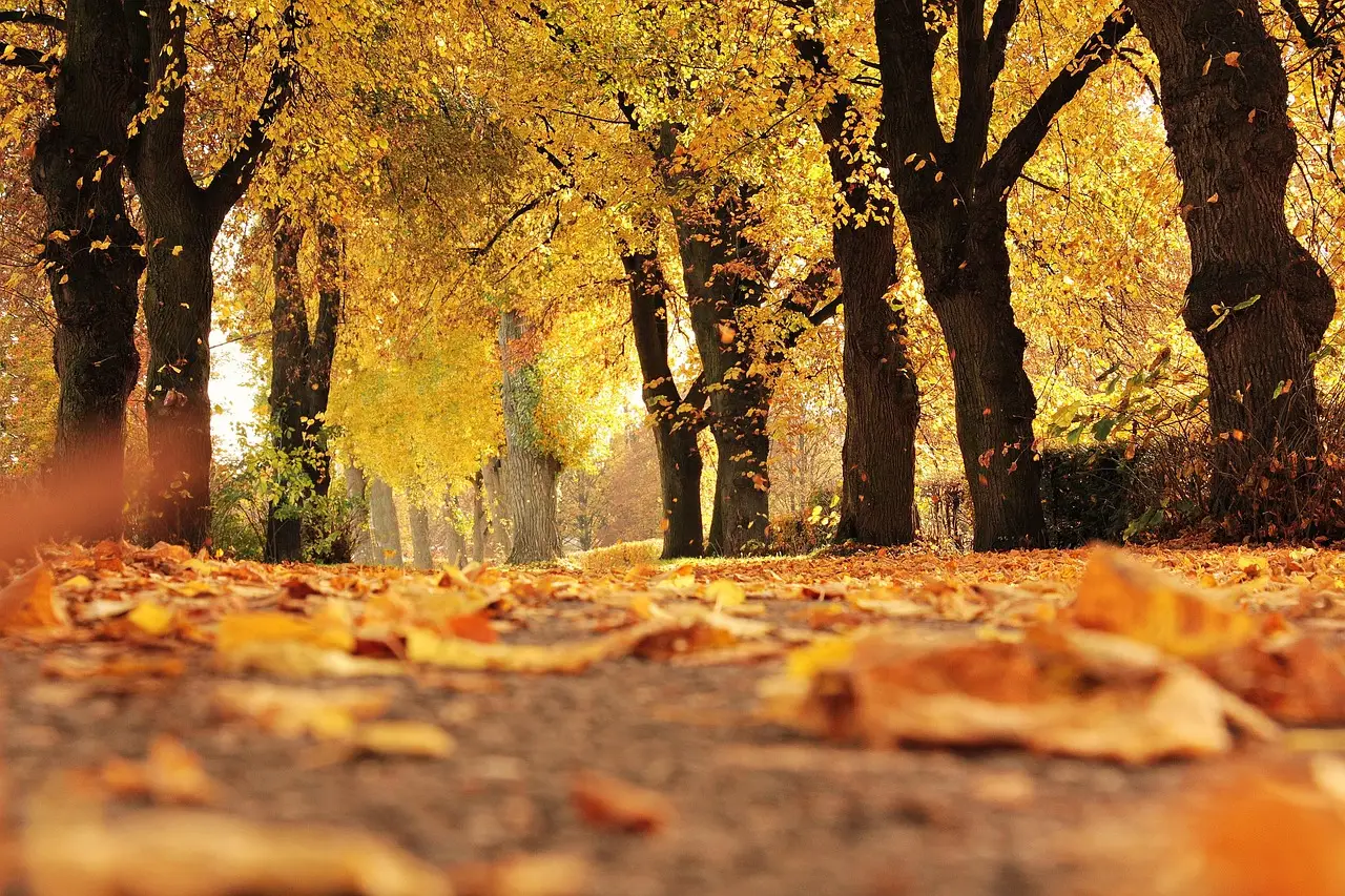 California employers ramp up fall hiring as holiday season nears - Record Searchlight
