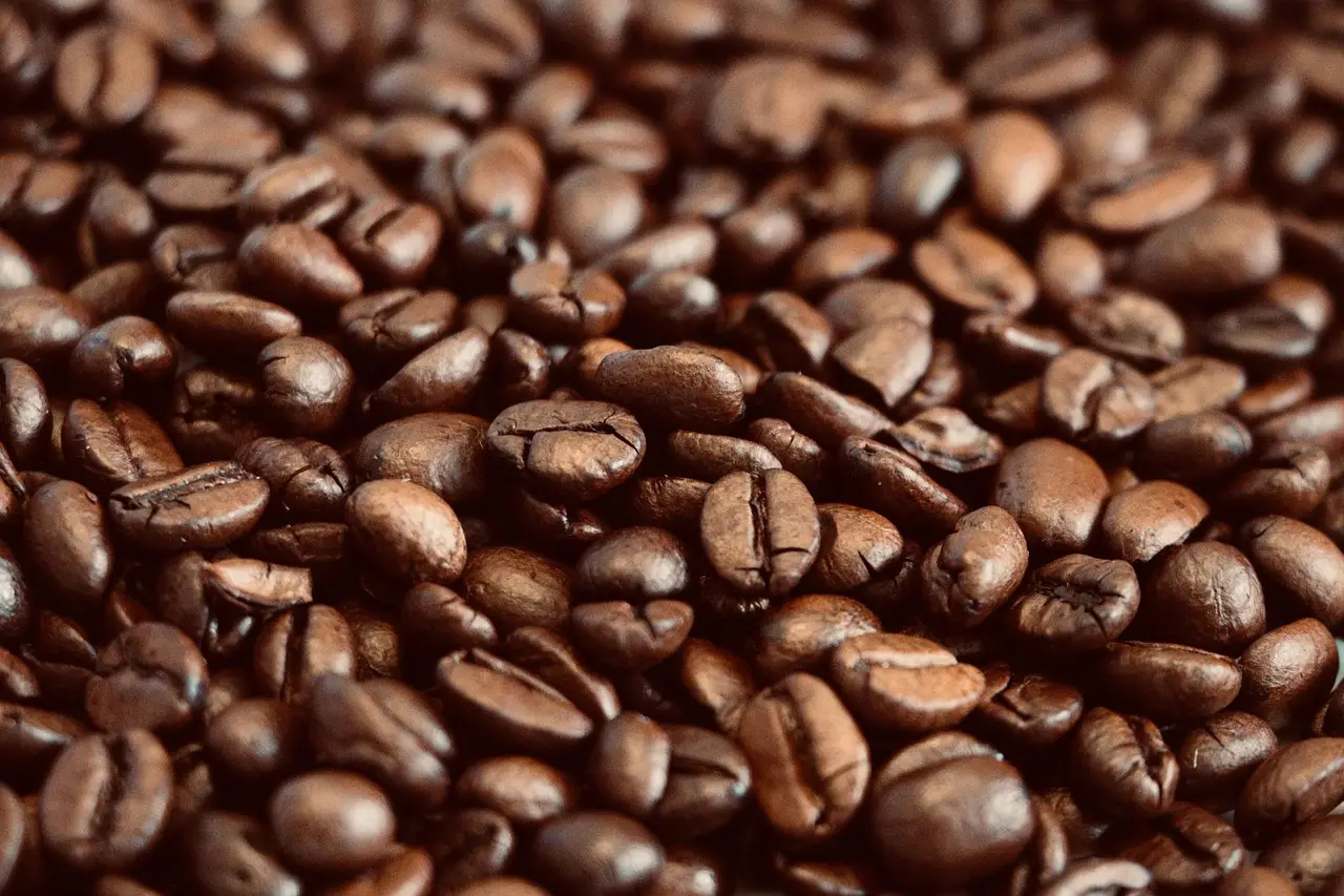 Build, buy, or borrow: How to choose the right strategy for your organization - HR Brew