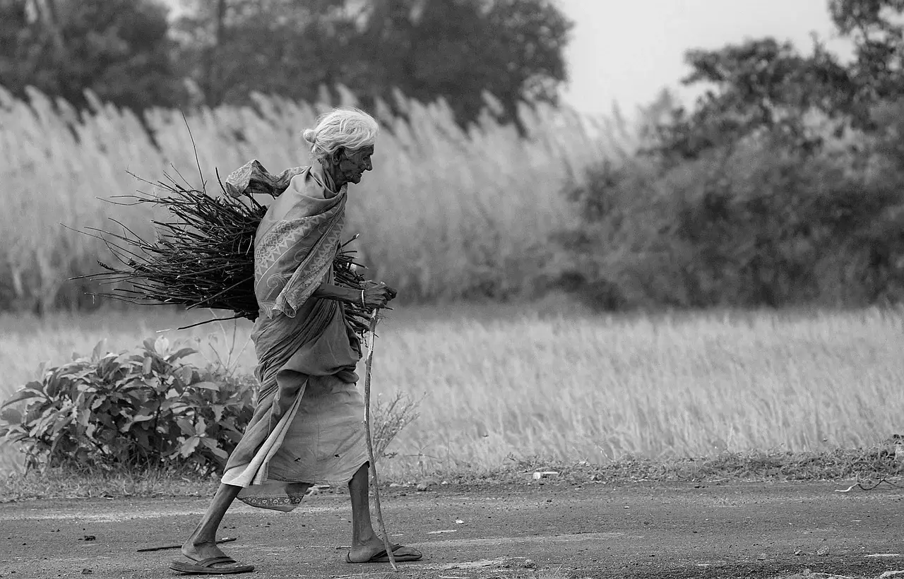 Is AI exposing a skills gap Bangladesh can no longer ignore? - www.daily-sun.com